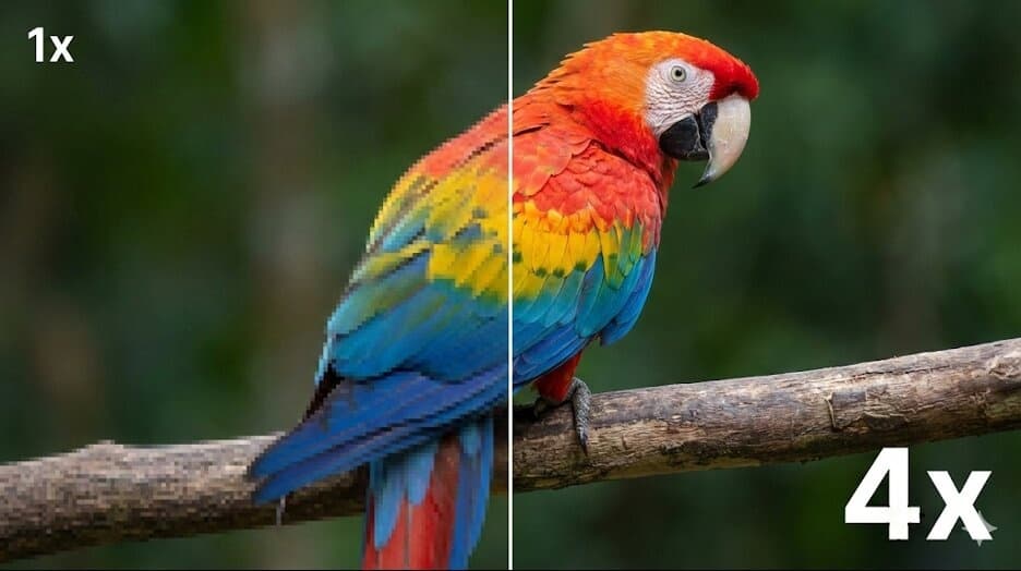 Side-by-side comparison of a pixelated 1x parrot image and a sharper 4x AI-upscaled result